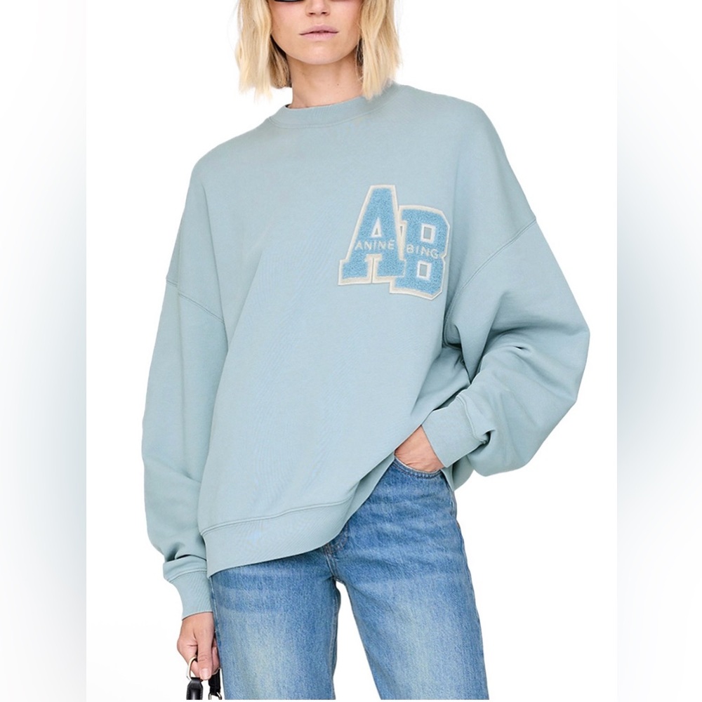 Anine Bing Miles Oversized Sweatshirt EUC large
